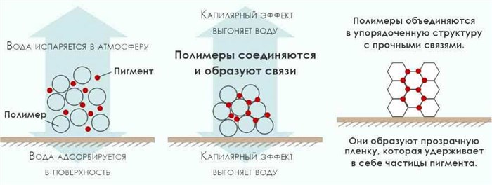 процесс высыхания краски