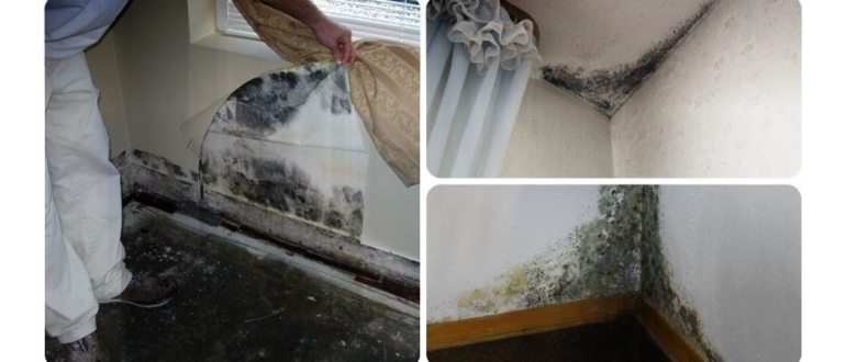 Закапывание перекиси в ухо