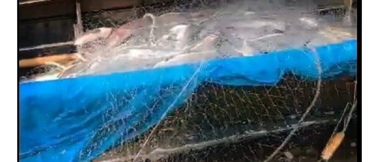 Церковный праздник 12 августа