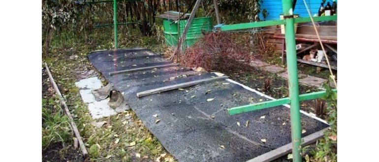 Фото окучивания винограда