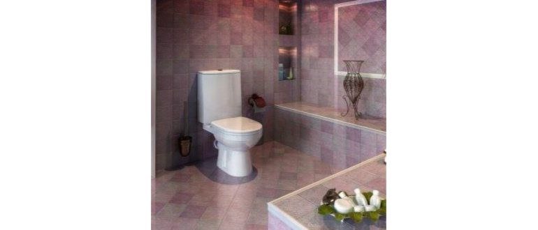 Какой унитаз лучше выбрать