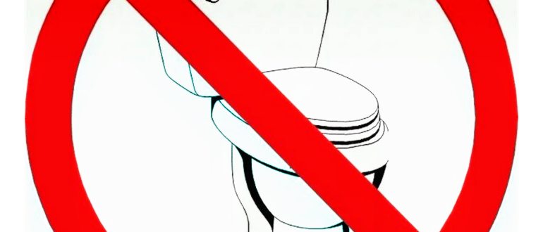 Чистка унитаза при септике