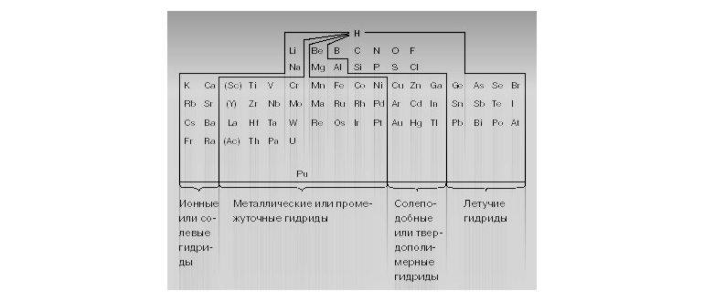 организма,является,процессах
