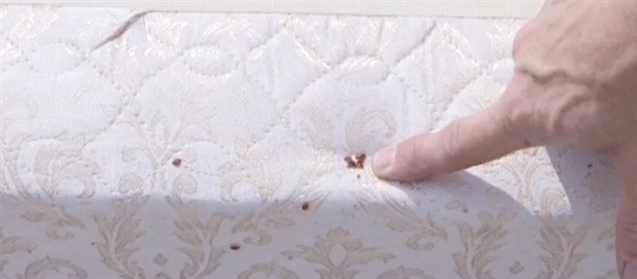 На постельном белье остаются следы крови от клопов