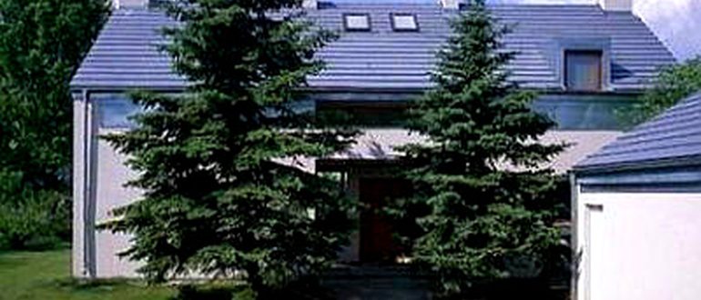 Посадка Плодовых Деревьев Расстояние От Забора Соседей