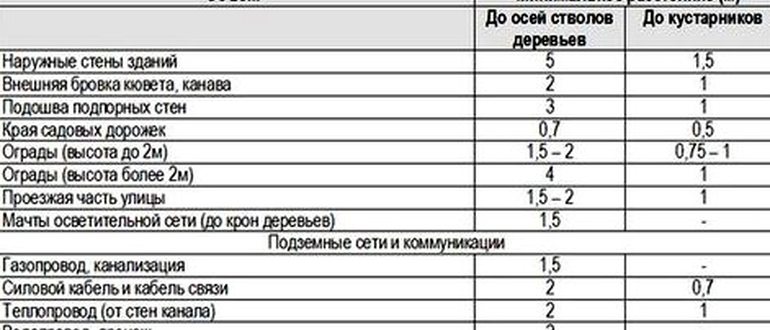 Посадка Плодовых Деревьев Расстояние От Забора Соседей